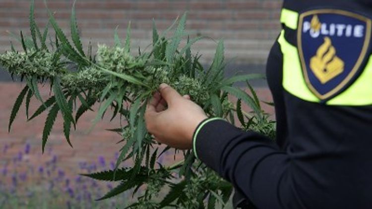 Deventer - Politie ontmantelt illegale growshop na anonieme tips